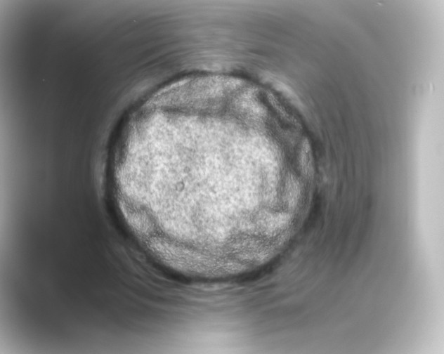 X0000088720679200706212021