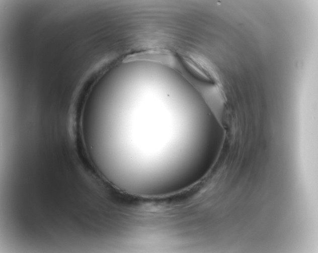 X0000088720680200706212021