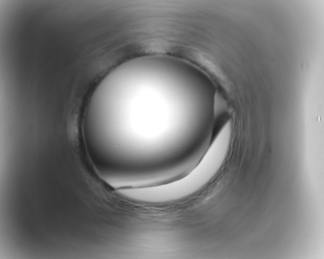 X0000088720681200706212021