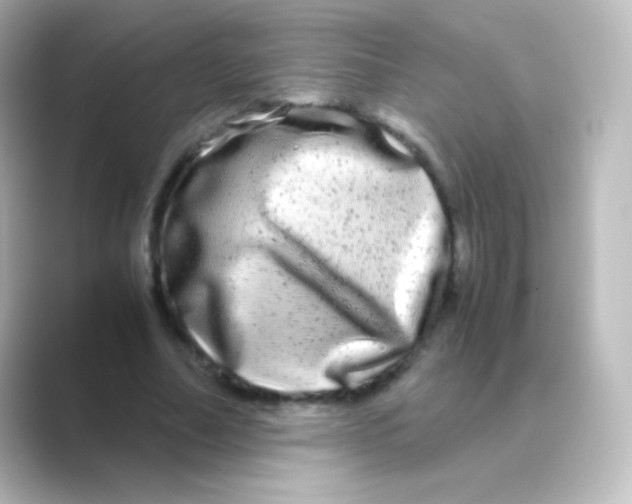 X0000088720682200706212021