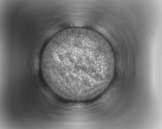 X0000088720683200706212021