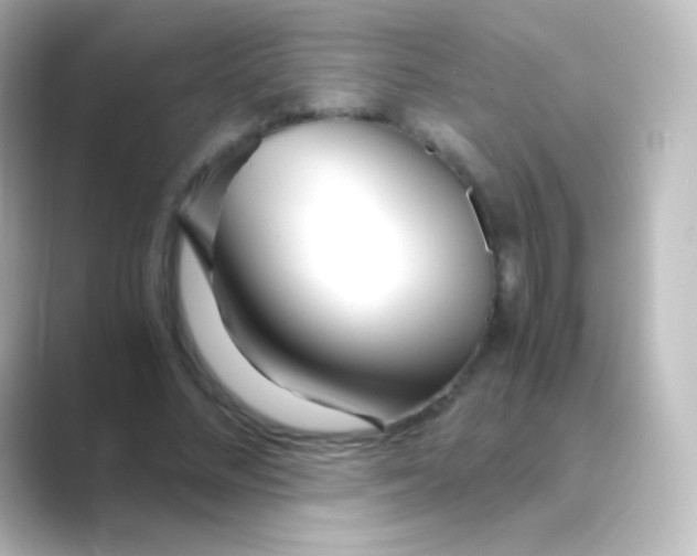 X0000088720684200706212021