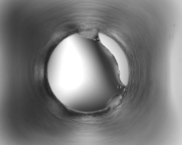 X0000088720685200706212021