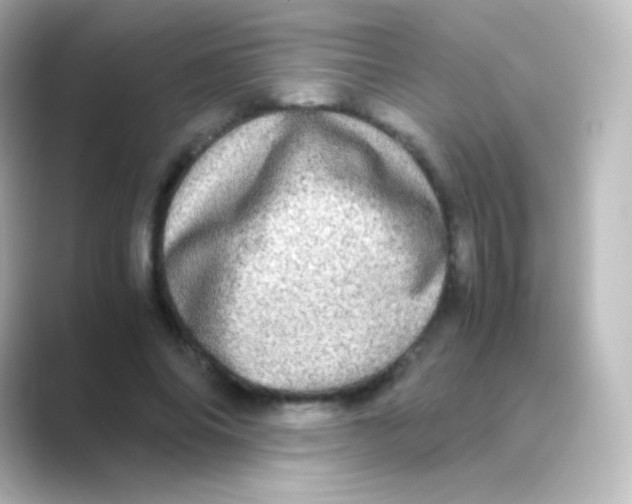 X0000088720686200706212021