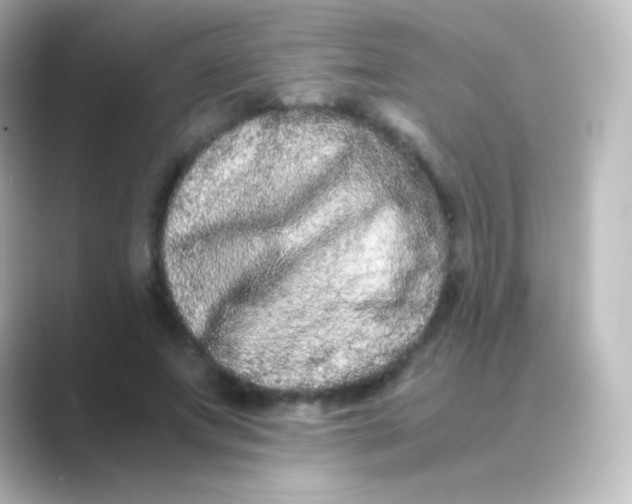 X0000088720687200706212021