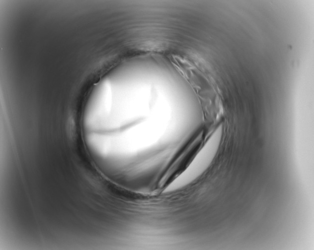 X0000088720688200706212021