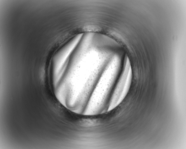 X0000088720690200706212021