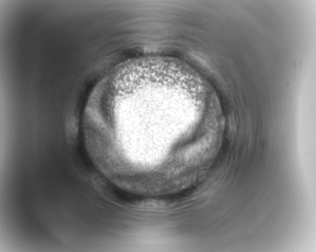 X0000088720691200706212021