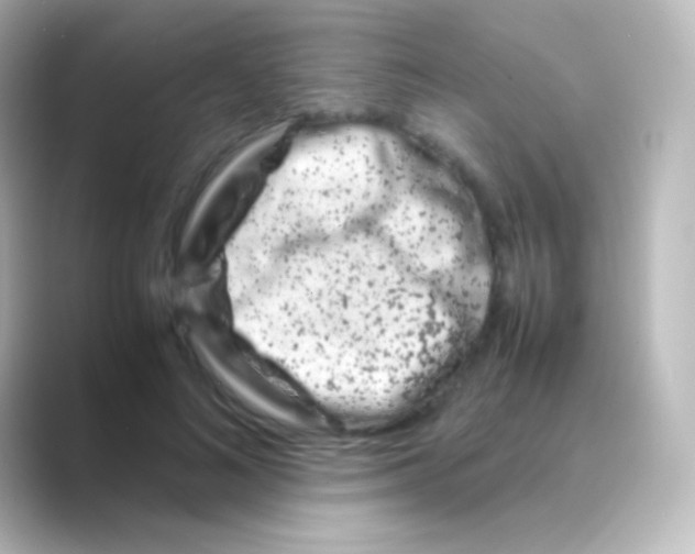 X0000088720692200706212021