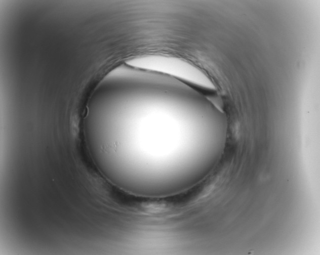 X0000088720693200706212021