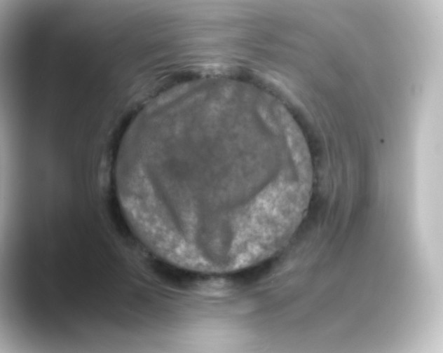 X0000088720695200706212021