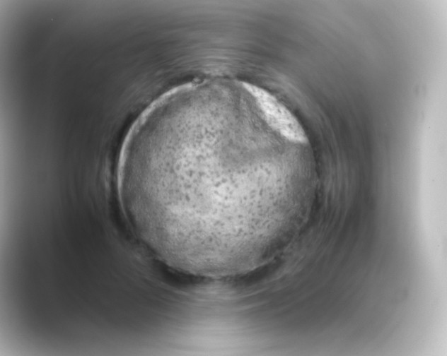 X0000088720696200706212021