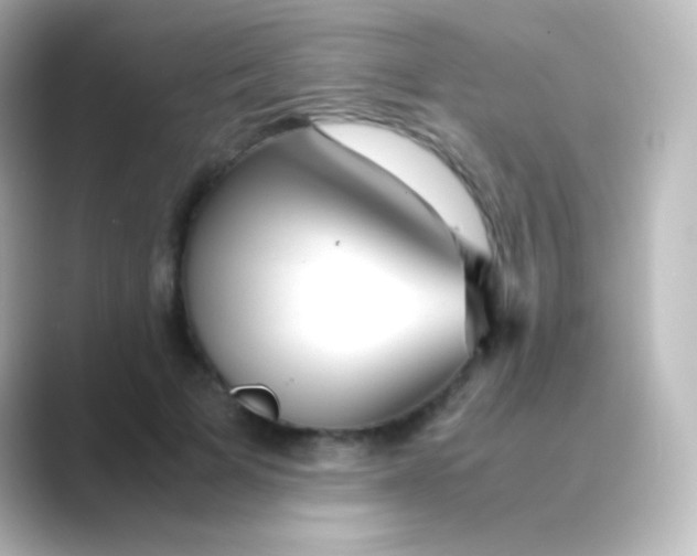 X0000088720697200706212021