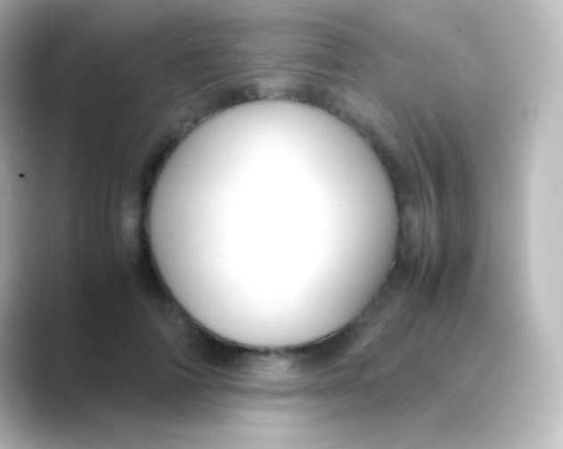 X0000088720698200706212021