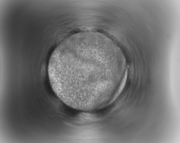 X0000088720699200706212021