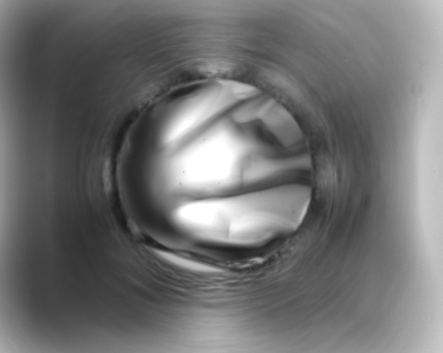 X0000088720700200706212021