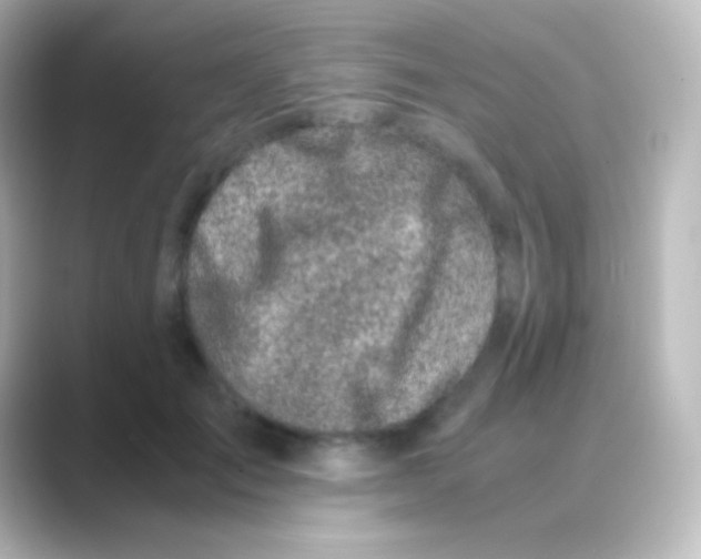 X0000088720701200706212021