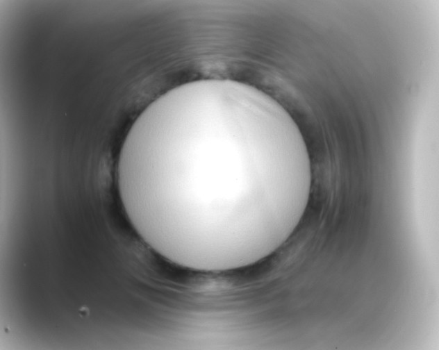 X0000088720702200706212021