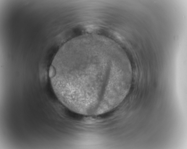 X0000088720703200706212021