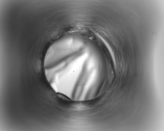 X0000088720704200706212021