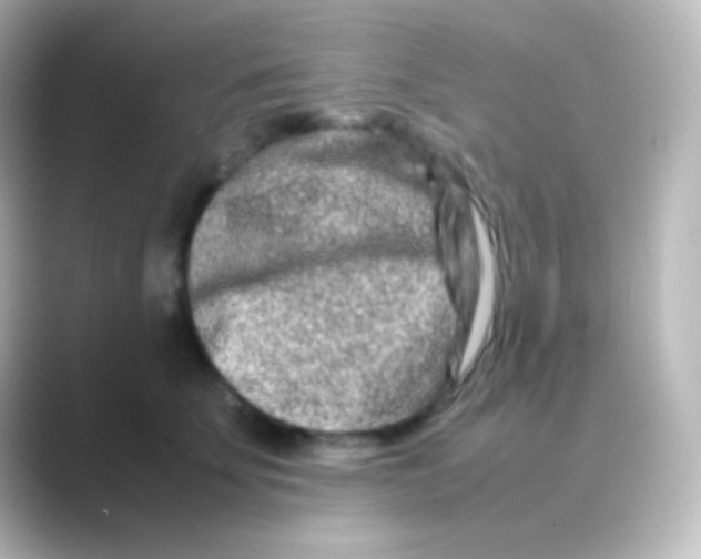 X0000088720707200706212021