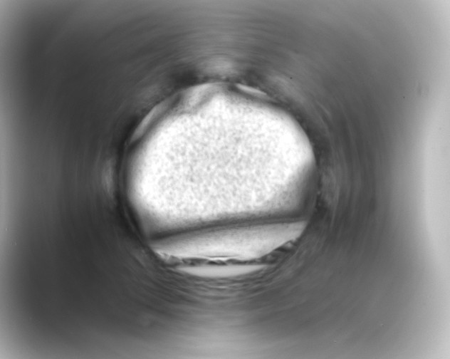 X0000088720708200706212021