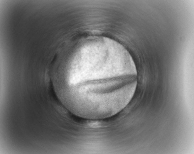 X0000088720710200706212021