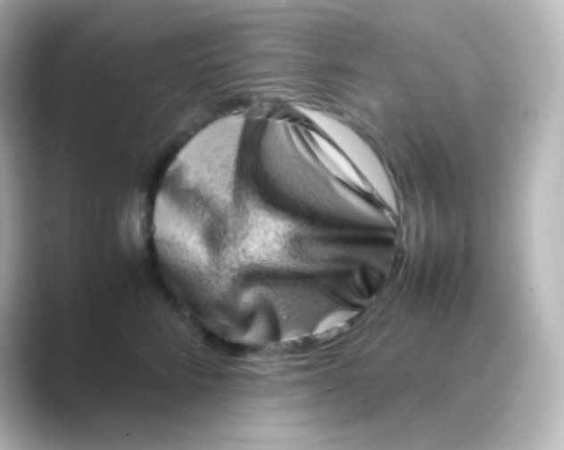 X0000088720712200706212021