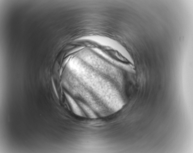 X0000088720716200706212020