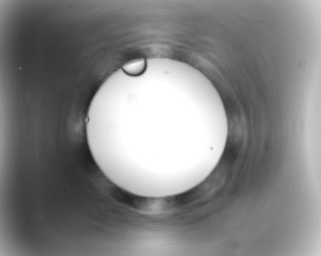 X0000088720717200706212020