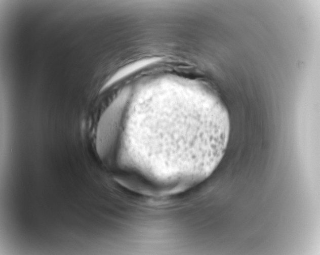 X0000088720720200706212020