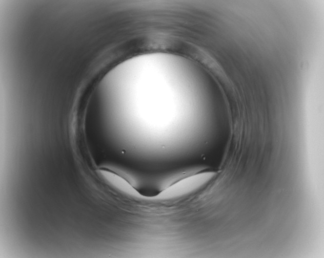 X0000088720722200706212020