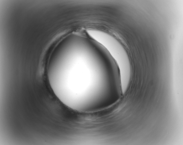 X0000088720723200706212020