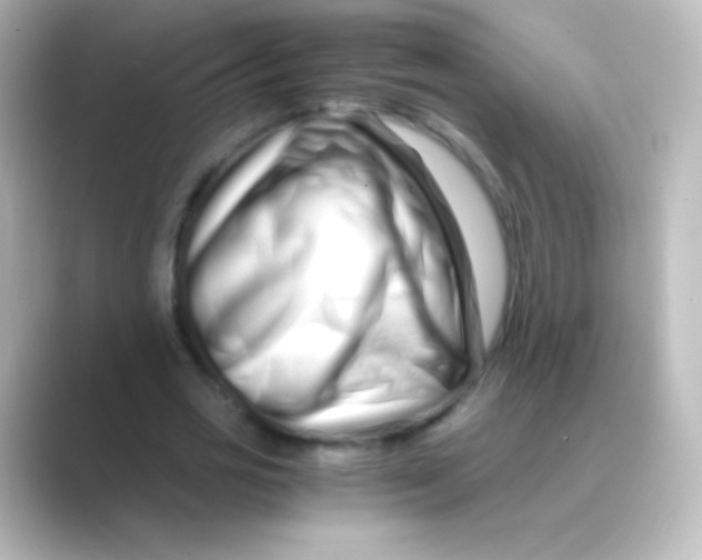 X0000088720725200706212020