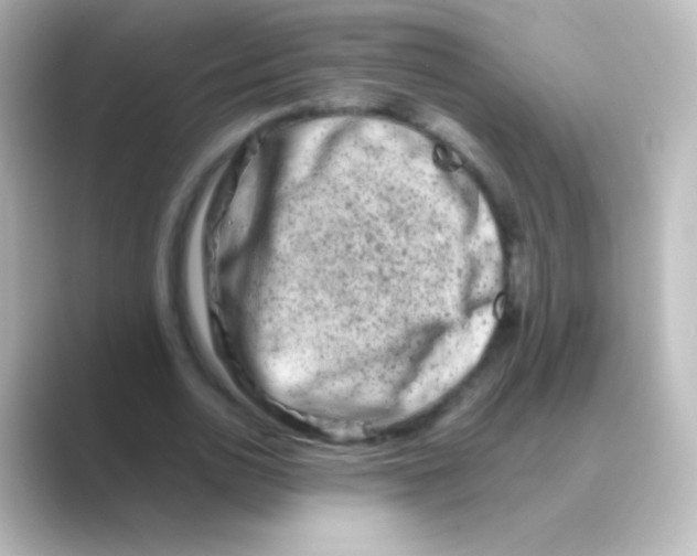 X0000088720726200706212020