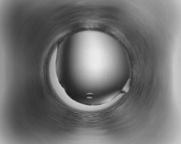 X0000088720727200706212020