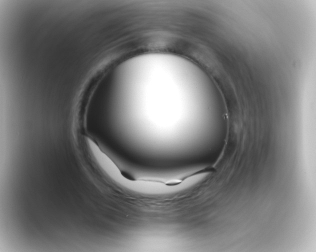 X0000088720728200706212020