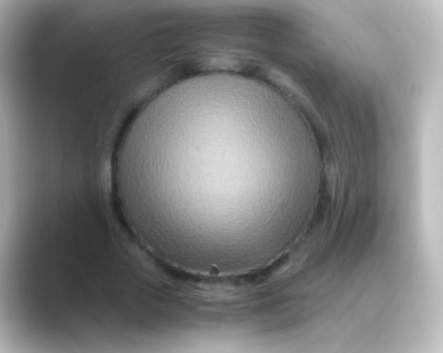 X0000088720729200706212020