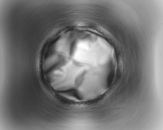 X0000088720730200706212020