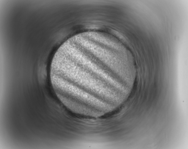 X0000088720731200706212020