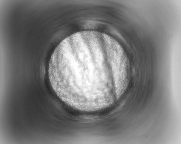 X0000088720733200706212020