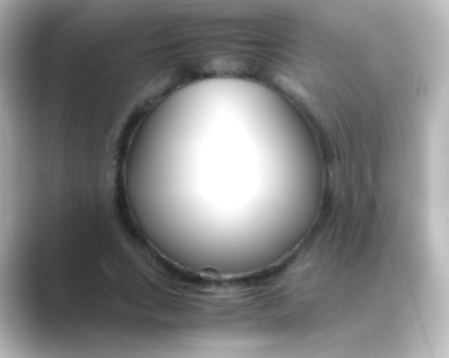 X0000088720735200706212020