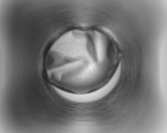 X0000088720736200706212020