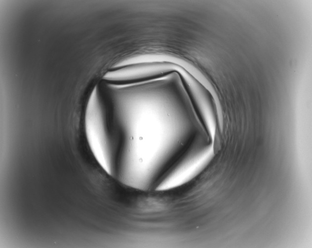 X0000088720739200706212020