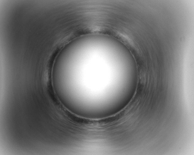 X0000088720740200706212020