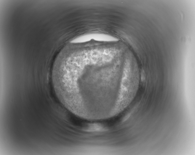 X0000088720741200706212020