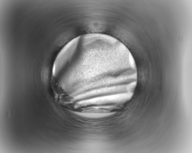 X0000088720742200706212020