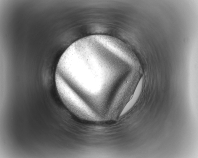 X0000088720743200706212020