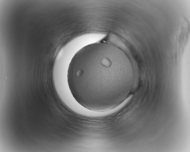 X0000088720744200706212020