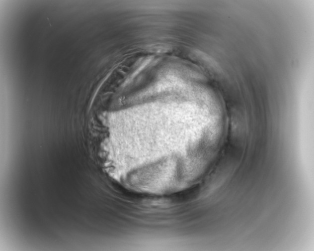 X0000088720745200706212020